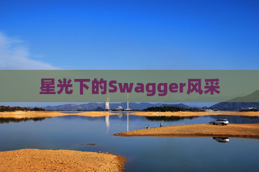 星光下的Swagger风采